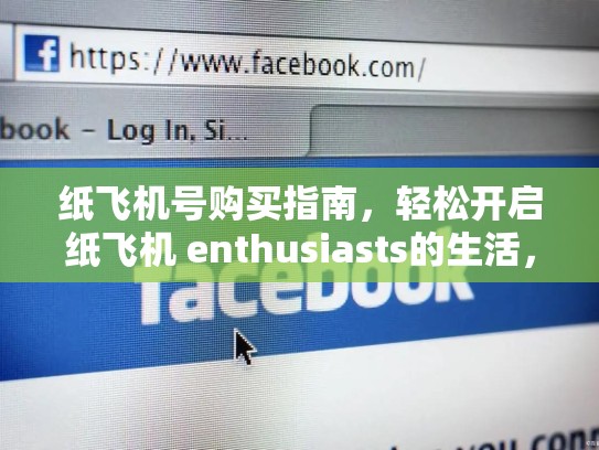 纸飞机号购买指南，轻松开启纸飞机 enthusiasts的生活，纸飞机号购买2元