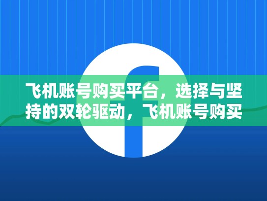 飞机账号购买平台，选择与坚持的双轮驱动，飞机账号购买平台官网
