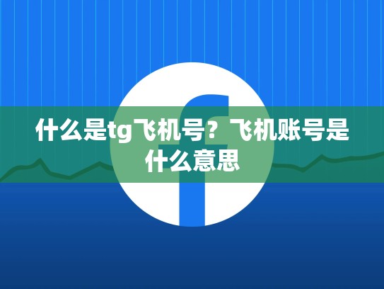 什么是tg飞机号？飞机账号是什么意思