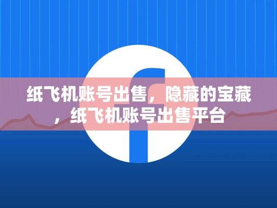 纸飞机账号出售，隐藏的宝藏，纸飞机账号出售平台