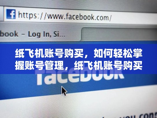 纸飞机账号购买，如何轻松掌握账号管理，纸飞机账号购买平台便宜