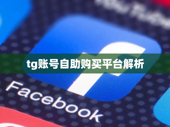 tg账号自助购买平台解析