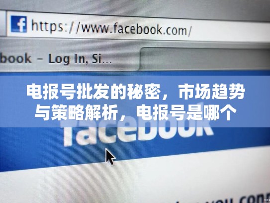 电报号批发的秘密，市场趋势与策略解析，电报号是哪个