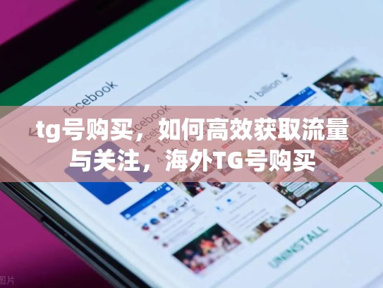 tg号购买，如何高效获取流量与关注，海外TG号购买