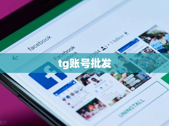 tg账号批发