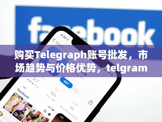 购买Telegraph账号批发，市场趋势与价格优势，telgram账号