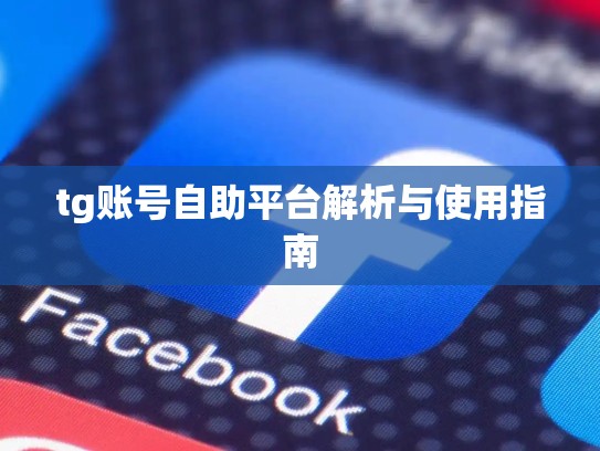 tg账号自助平台解析与使用指南