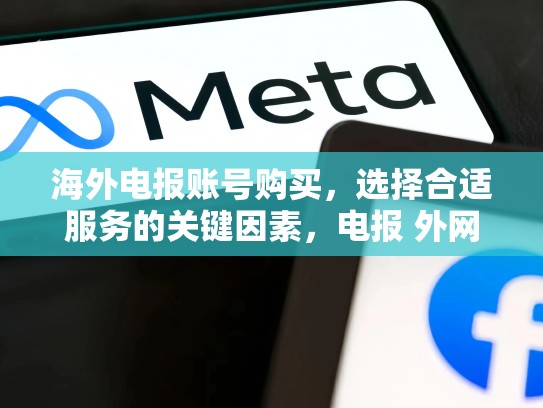 海外电报账号购买，选择合适服务的关键因素，电报 外网