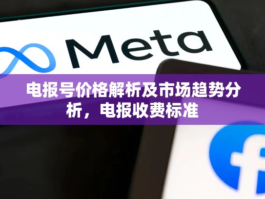 电报号价格解析及市场趋势分析，电报收费标准