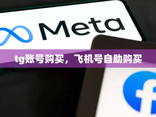 tg账号购买，飞机号自助购买