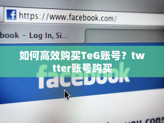 如何高效购买TeG账号？twtter账号购买