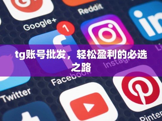 tg账号批发，轻松盈利的必选之路