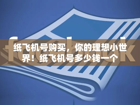 纸飞机号购买,你的理想小世界!纸飞机号多少钱一个