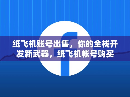 纸飞机账号出售,你的全栈开发新武器,纸飞机帐号购买
