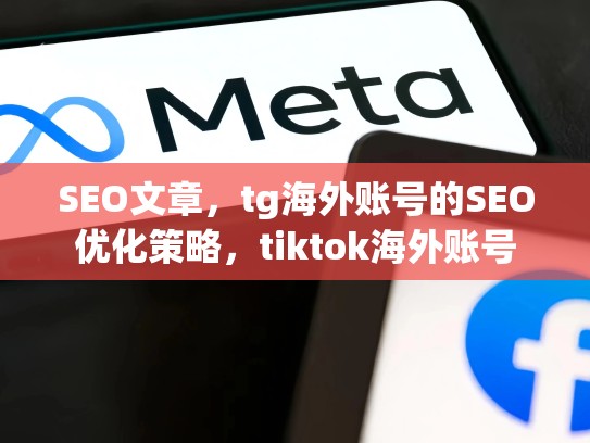 SEO文章,tg海外账号的SEO优化策略,tiktok海外账号