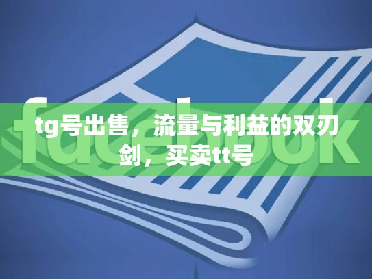 tg号出售，流量与利益的双刃剑，买卖tt号