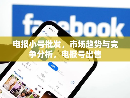 电报小号批发，市场趋势与竞争分析，电报号出售