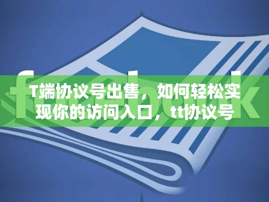 T端协议号出售,如何轻松实现你的访问入口,tt协议号