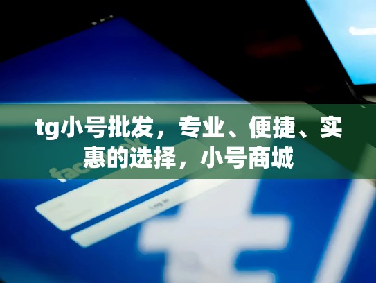 tg小号批发，专业、便捷、实惠的选择，小号商城
