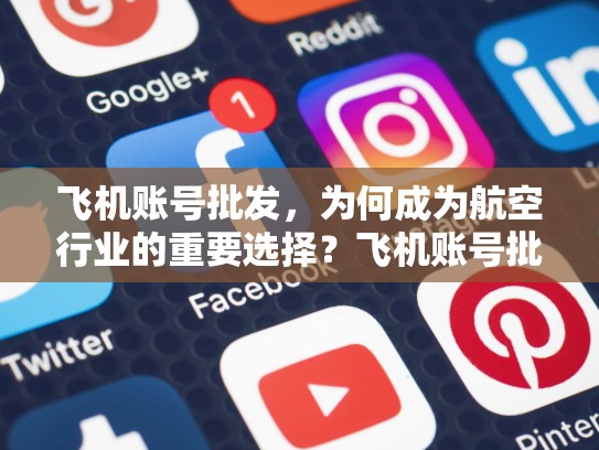 飞机账号批发，为何成为航空行业的重要选择？飞机账号批发出售网站