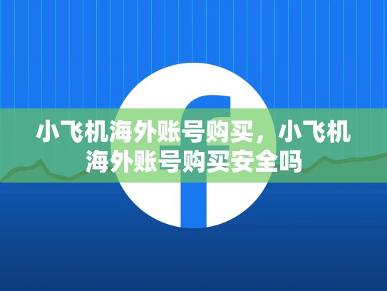 小飞机海外账号购买，小飞机海外账号购买安全吗