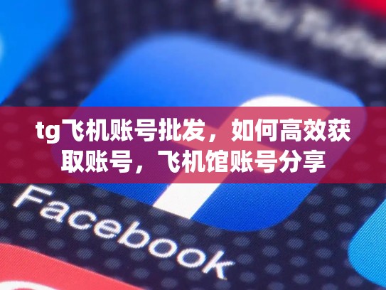 tg飞机账号批发，如何高效获取账号，飞机馆账号分享
