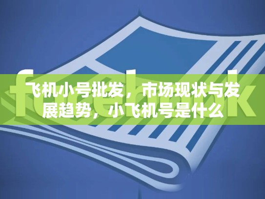 飞机小号批发，市场现状与发展趋势，小飞机号是什么