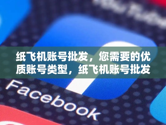 纸飞机账号批发，您需要的优质账号类型，纸飞机账号批发网
