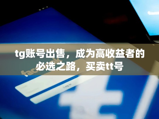 tg账号出售,成为高收益者的必选之路,买卖tt号