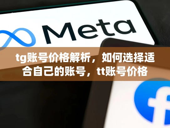 tg账号价格解析,如何选择适合自己的账号,tt账号价格