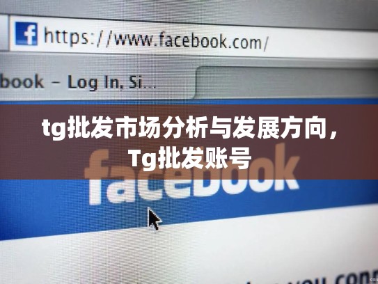tg批发市场分析与发展方向,Tg批发账号