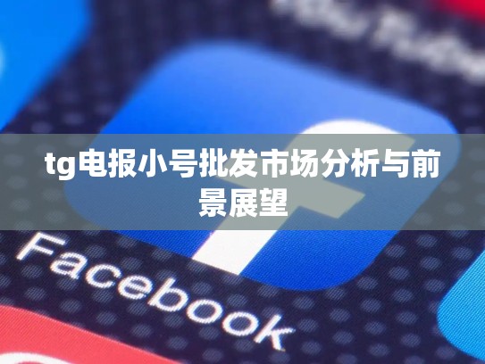 tg电报小号批发市场分析与前景展望