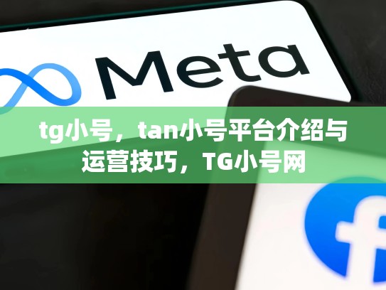 tg小号，tan小号平台介绍与运营技巧，TG小号网