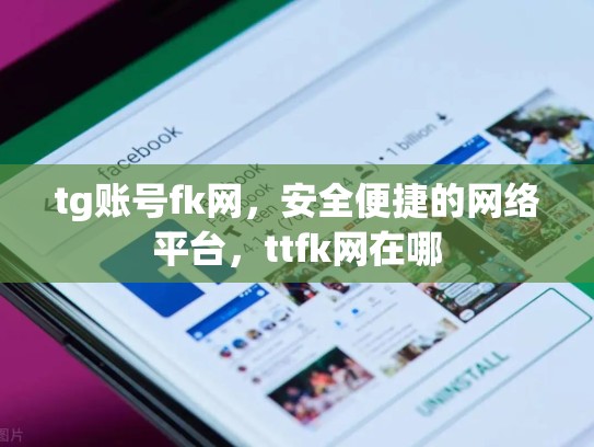 tg账号fk网，安全便捷的网络平台，ttfk网在哪