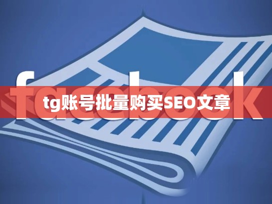 tg账号批量购买SEO文章