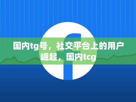 国内tg号，社交平台上的用户崛起，国内tcg