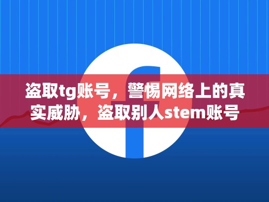 盗取tg账号,警惕网络上的真实威胁,盗取别人stem账号怎么判刑