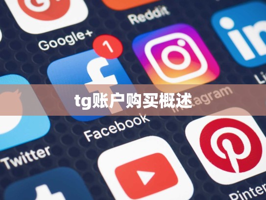 tg账户购买概述