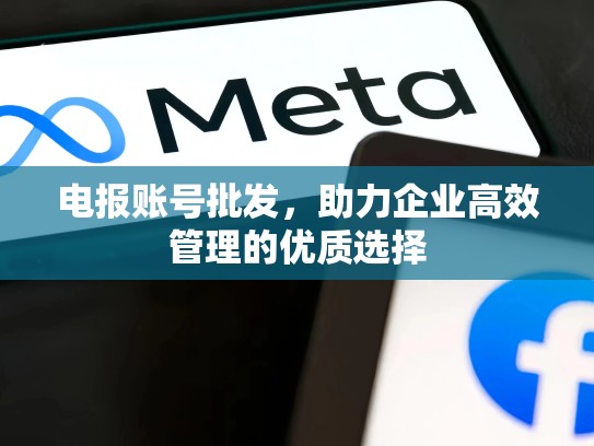 电报账号批发，助力企业高效管理的优质选择