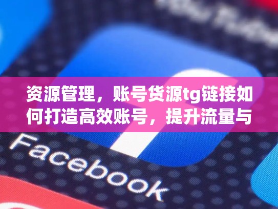 资源管理，账号货源tg链接如何打造高效账号，提升流量与转化率