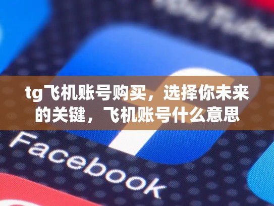 tg飞机账号购买，选择你未来的关键，飞机账号什么意思
