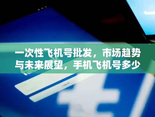 一次性飞机号批发，市场趋势与未来展望，手机飞机号多少钱