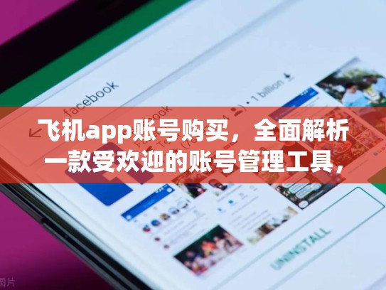 飞机app账号购买，全面解析一款受欢迎的账号管理工具，飞机app账号购买流程