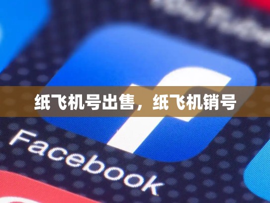 纸飞机号出售,纸飞机销号