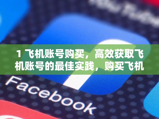 1 飞机账号购买,高效获取飞机账号的最佳实践,购买飞机的平台