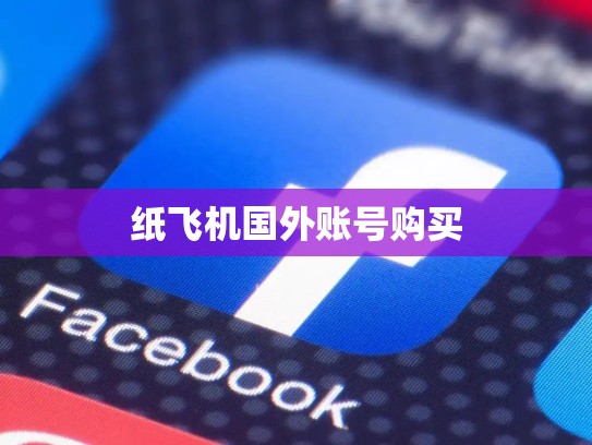 纸飞机国外账号购买