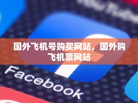 国外飞机号购买网站,国外购飞机票网站