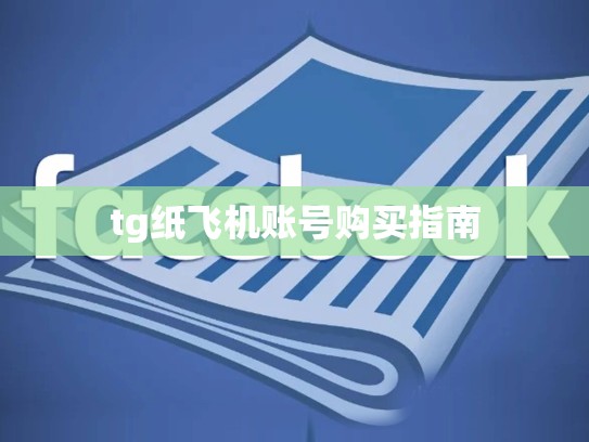 tg纸飞机账号购买指南