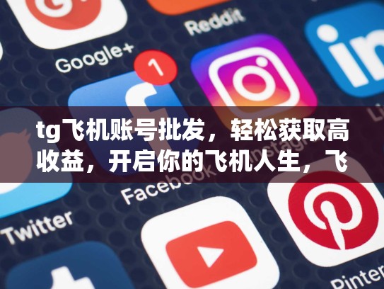 tg飞机账号批发，轻松获取高收益，开启你的飞机人生，飞机馆账号分享