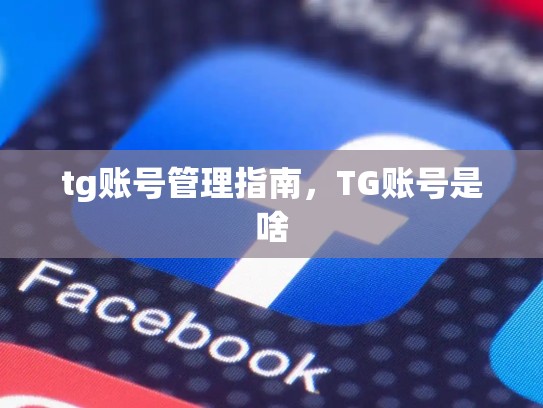 tg账号管理指南，TG账号是啥